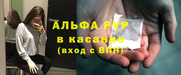 стафф Алексин