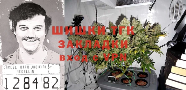 стафф Алексин