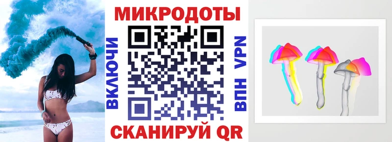 KRAKEN tor Топки Псилоцибиновые грибы Psilocybe что такое