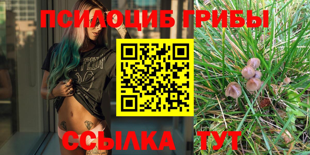 Галлюциногенные грибы ЛСД Топки